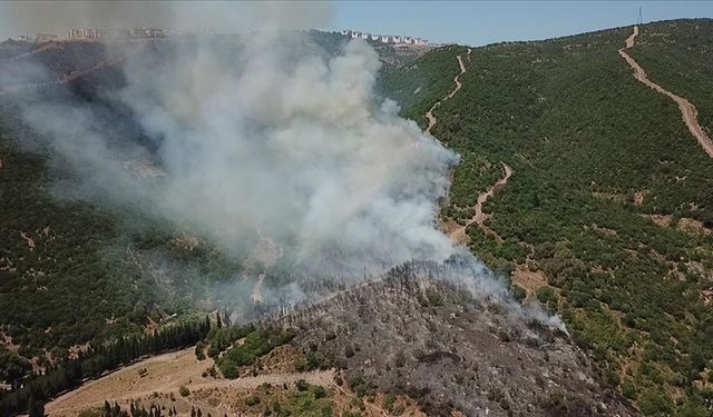 Kocaeli'de makilik ve ağaçlık alanda çıkan yangına müdahale ediliyor