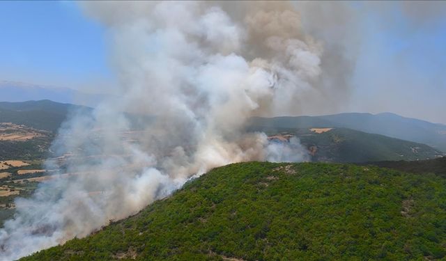 Bursa'da çıkan orman yangınına müdahale ediliyor