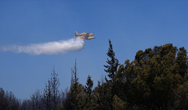 İzmir'in Aliağa ilçesinde çıkan orman yangınına müdahale ediliyor