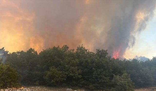 Eskişehir'de çıkan orman yangınına müdahale ediliyor