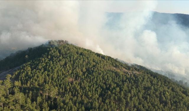 Balıkesir'de çıkan orman yangınına müdahale sürüyor
