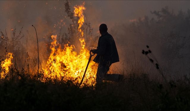 Bulgaristan'da yangınla mücadele sürüyor