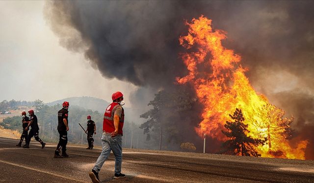 OGM, vatandaşlara uyarıda bulundu