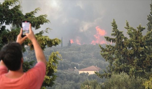 Yunanistan'da son 4 günde 242 orman yangını çıktı