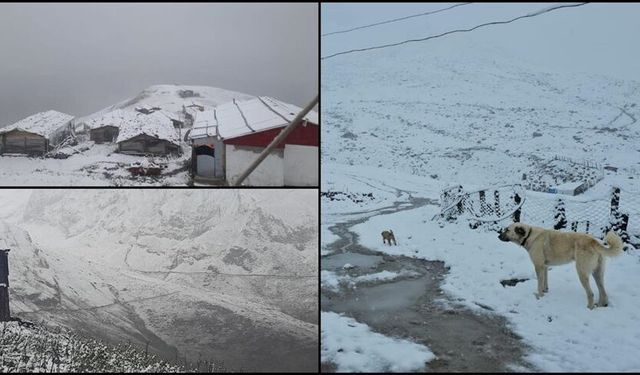 Rize, Artvin ve Ardahan'da yüksek kesimlere kar yağdı