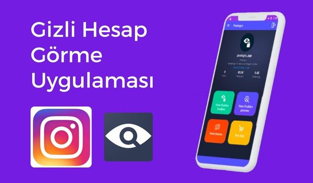 Postegro Lili Nedir ve Nasıl Kullanılır?