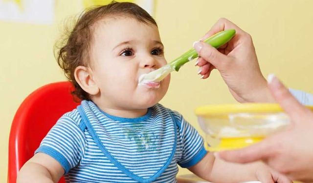 Bebek Ek Gıda Ürünleri ile Sağlıklı Beslenme Yolculuğuna Başlayın