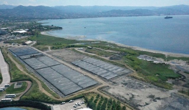 Dip çamurundan temizlenen İzmit Körfezi'nde canlılar yeniden hayat buluyor