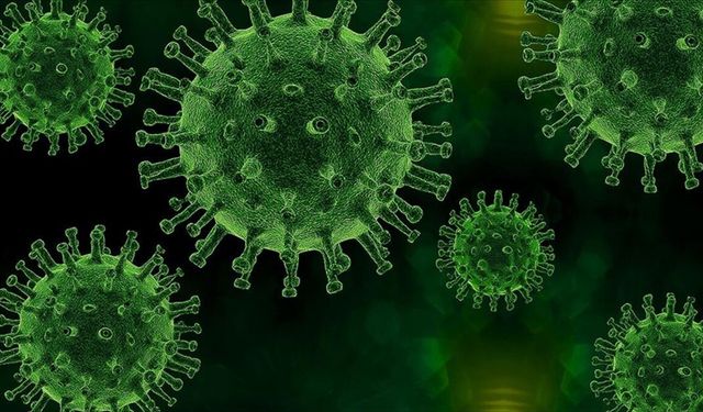 DNA örneklerine göre, en eski veba salgını yaklaşık 5 bin 500 yıl önce görüldü