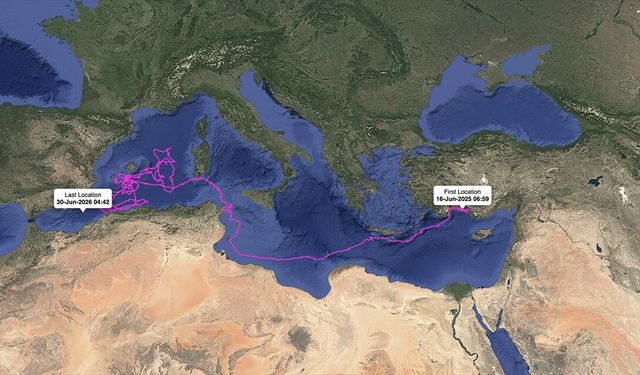 GRAFİKLİ - Uydudan izlenen 'Altın', 'Gümüş', 'Flora' ve 'Fauna' binlerce kilometre katetti