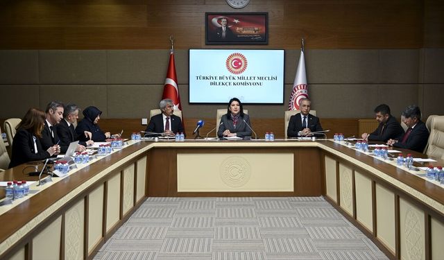 Meclise 'kadınlar da askere alınsın' başvurusu