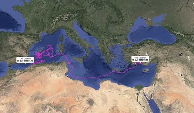 Uydudan izlenen 'Altın', 'Gümüş', 'Flora' ve 'Fauna' binlerce kilometre katetti