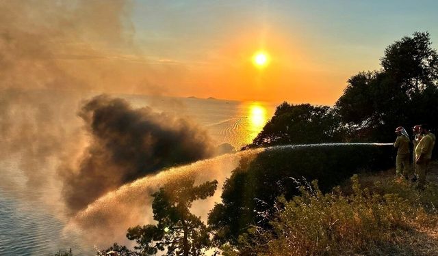 Büyükada'da plajdaki restoranda başlayıp ormanlık alana sıçrayan yangına müdahale ediliyor