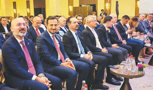 TÜRK DÜNYASI SİVİL TOPLUM DESTEK SİSTEMİ