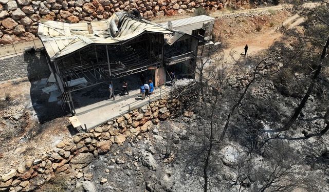Fethiye'deki orman yangınından etkilenen alanda hasar tespit çalışması yapılıyor