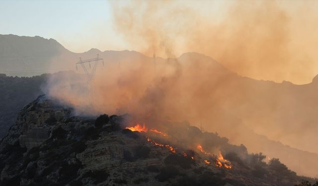 Girit Adası'nda orman yangını çıktı