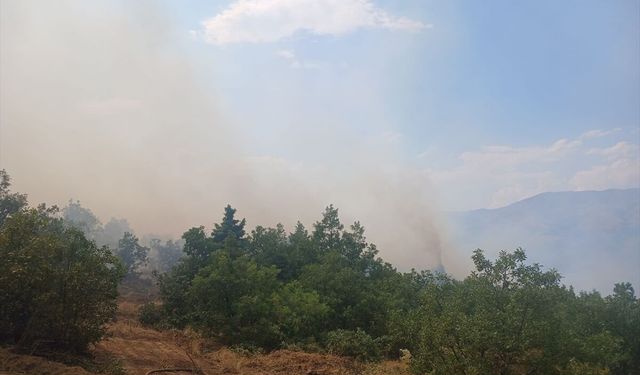 Pütürge'de çıkan orman yangınına müdahale ediliyor