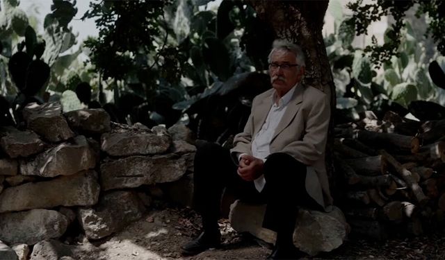 TRT ortak yapımı 'Kesilmiş Bir Ağaç Gibi' Türkiye'nin Oscar adayı oldu