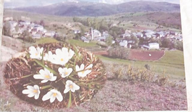 GÖNLÜMDE AÇAN AKÇİĞDEM