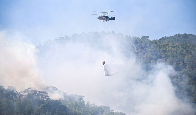 Bakan Gürlek, orman yangını soruşturmalarında 11 şüphelinin tutuklandığını açıkladı