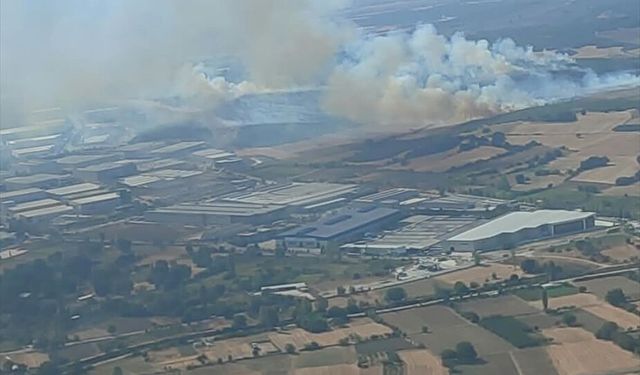 Bursa'da çıkan orman yangınına müdahale ediliyor