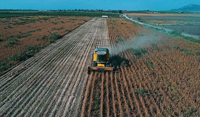 Çiftçilerin hesaplarına 195,6 milyon lira tarımsal destekleme ödemesi aktarılıyor