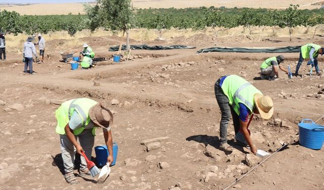 Çin'in Türkiye'deki ilk kazı projesi Şanlıurfa'daki Yoğunburç'ta yürütülüyor