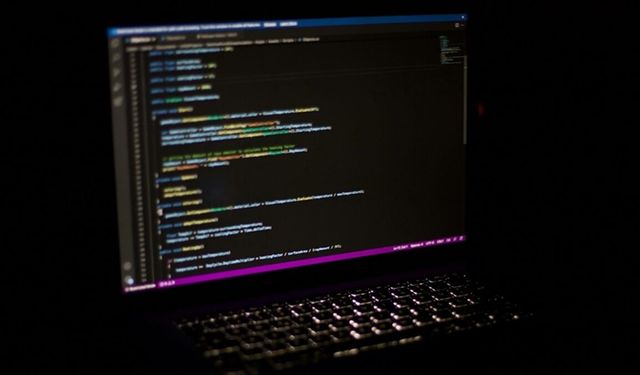 Farklı ülkelerde gizlice uzaktan çalışan Kuzey Koreli bilişimciler, şirketlerin korkulu rüyası haline geldi