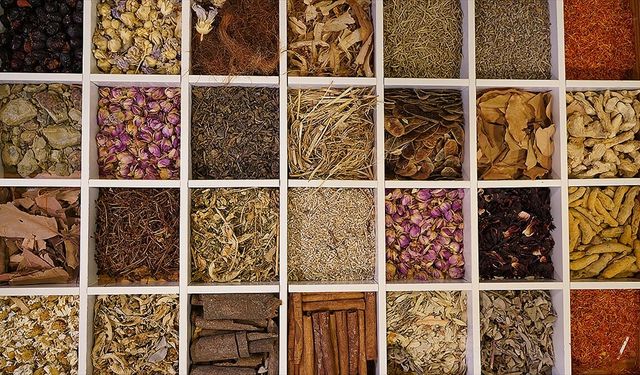 Güneydoğu'dan 7 ayda 2,2 milyar dolarlık hububat ihracatı