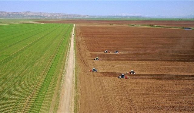 Tarımsal girdi fiyat endeksi haziranda yıllık bazda yüzde 32,06 artarken aylık yüzde 0,92 azaldı