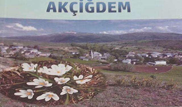 GÖNLÜMDE AÇAN AKÇİĞDEM
