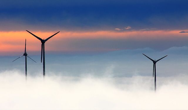 Almanya'da elektrik üretiminde yenilenebilir enerjinin payı rekor seviyeye ulaştı