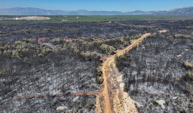 Antalya'da yanan ormanlık alanlar havadan görüntülendi