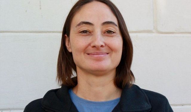 Bozkırların yanlış ağaçlandırılması bitki ve kelebek çeşitliliğini azaltabiliyor