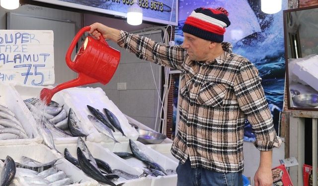 Karadeniz'de palamut bolluğu Rize'de tezgahlara yansıdı