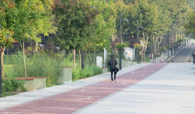 Türkiye 'yeşil kampüslerde' Avrupa'nın zirvesinde yer aldı