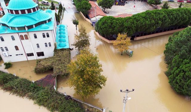 Acarlar Longozu'ndaki su seviyesinin yükselmesi taşkına neden oldu