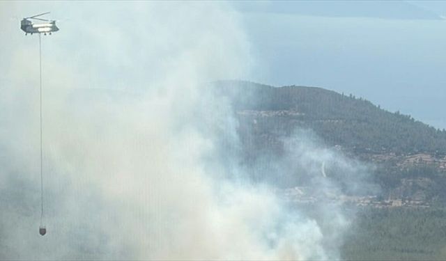 Bodrum'da çıkan orman yangınına müdahale ediliyor