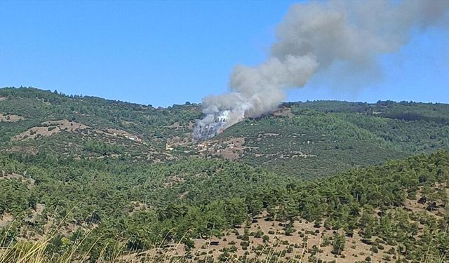 Bursa'da çıkan orman yangınına müdahale ediliyor