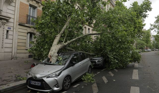 Fransa'nın güneyindeki Herault ve Gard vilayetlerinde şiddetli yağışlar hayatı olumsuz etkiledi