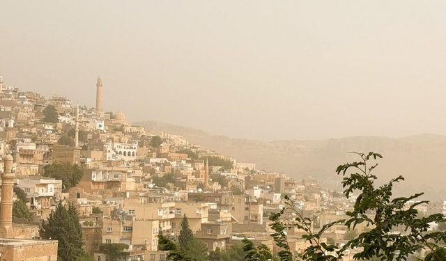 Mardin'de toz taşınımı etkili oldu