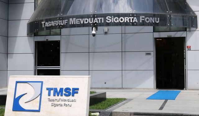 TMSF, Tera Yatırım Teknoloji Holding'e kayyum olarak atandı