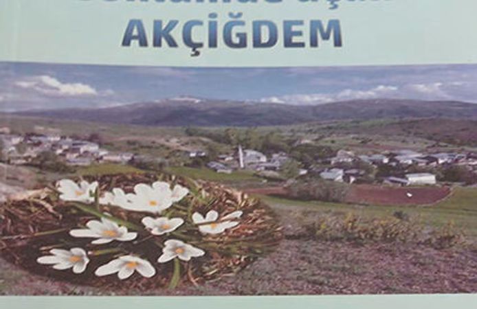 GÖNLÜMDE AÇAN AKÇİĞDEM