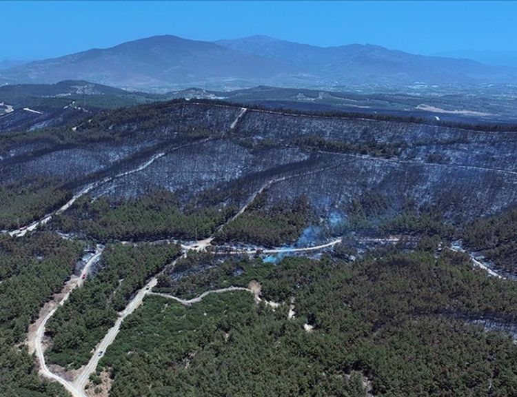 İzmir'de yanan orman alanı havadan görüntülendi