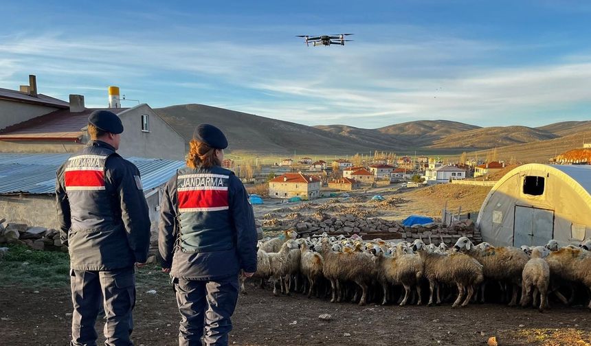 Kayseri'de kaybolan 150 küçükbaş hayvan dron yardımıyla bulundu
