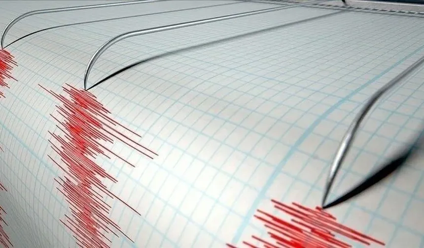 Japonya'nın Ogasawara Adaları açıklarında 6,9 büyüklüğünde deprem
