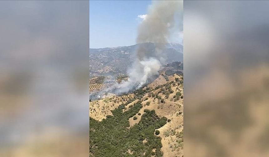 Aydın'da çıkan yangına müdahale ediliyor
