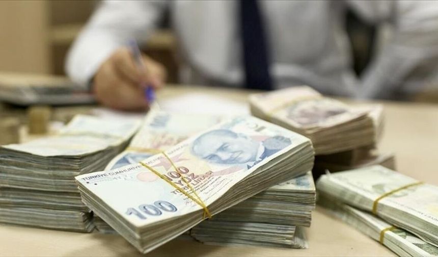 Türkiye'nin yerel gücü kalkınma ajanslarının destekleriyle büyüyor