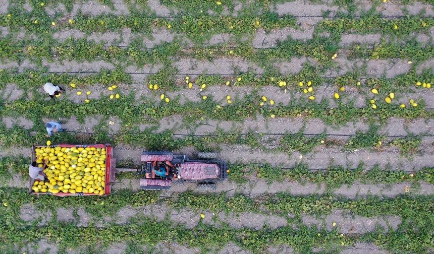 Bakan Yumaklı, 688 milyon 200 bin lira tarımsal destekleme ödemesinin bugün yapılacağını bildirdi