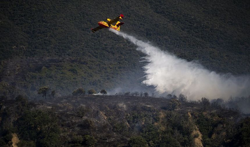 Fransa'da bu yıl çıkan büyük yangınlarda maddi zarar 500 milyon avro civarında
